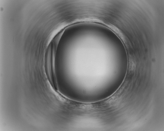 X0000088591006200705251144