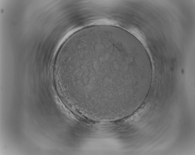 X0000088591008200705251144