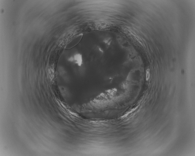 X0000088591011200705251143