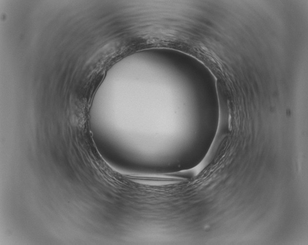 X0000088591012200705251143