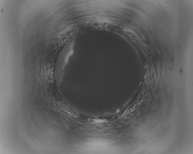 X0000088591013200705251143