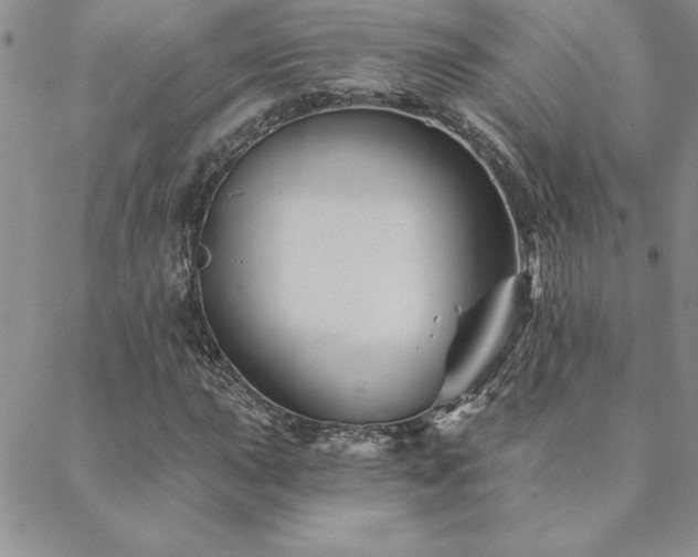 X0000088591015200705251143