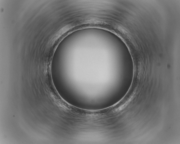 X0000088591017200705251143