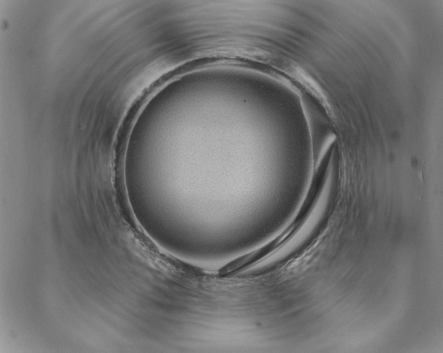 X0000088591020200705251143