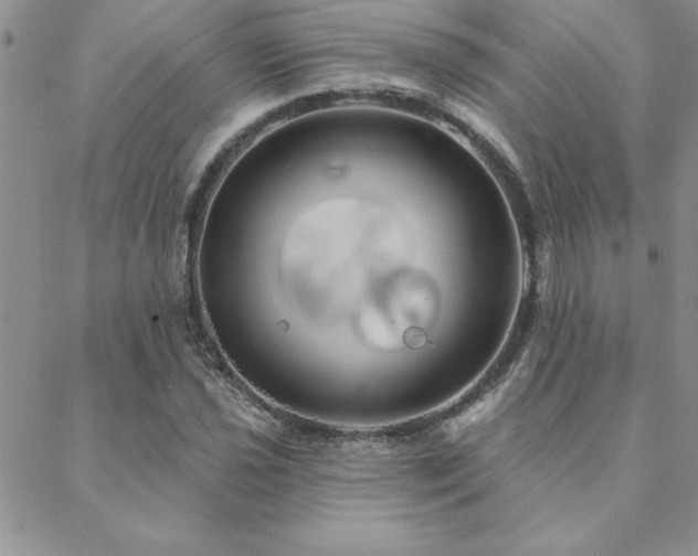 X0000088591021200705251143