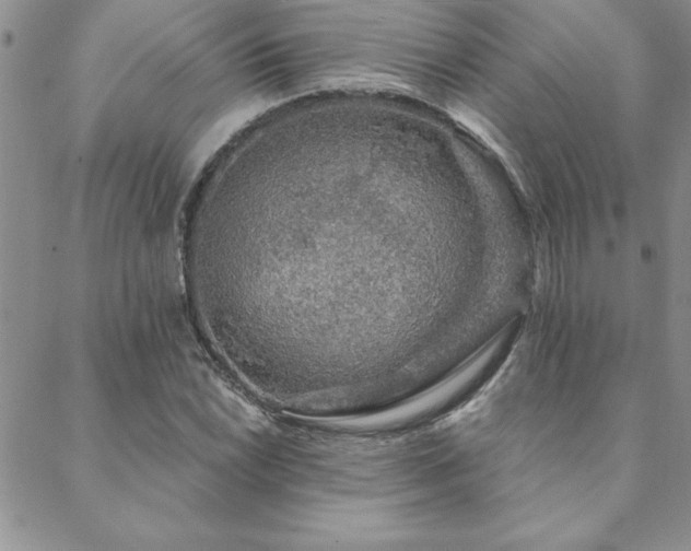 X0000088591022200705251143