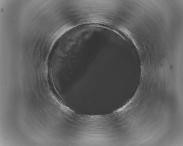 X0000088591024200705251144