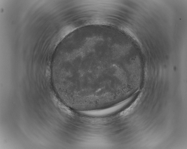 X0000088591025200705251144