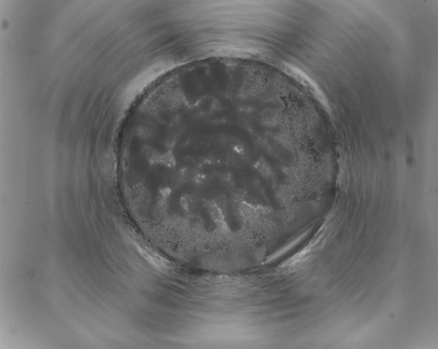 X0000088591027200705251144