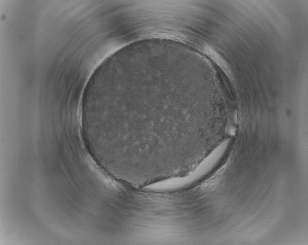 X0000088591028200705251144