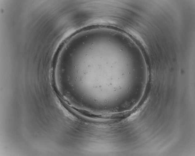 X0000088591029200705251144