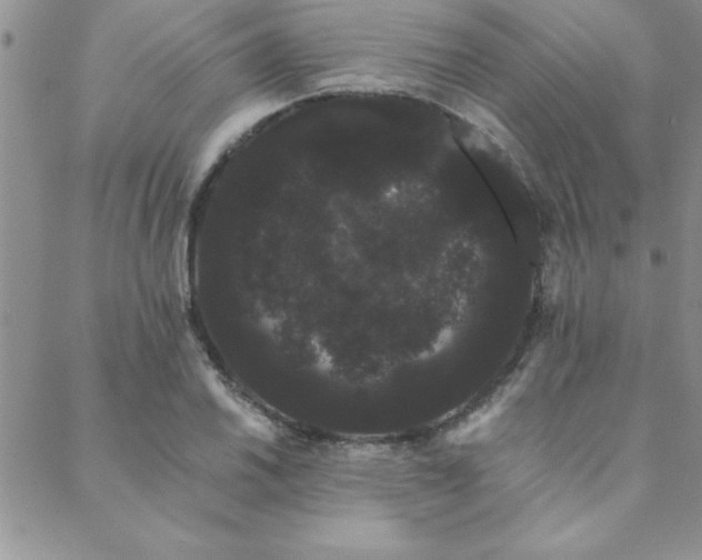 X0000088591030200705251144