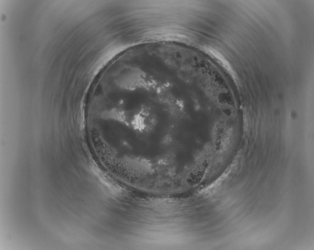 X0000088591031200705251144