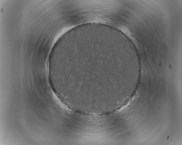 X0000088591032200705251144