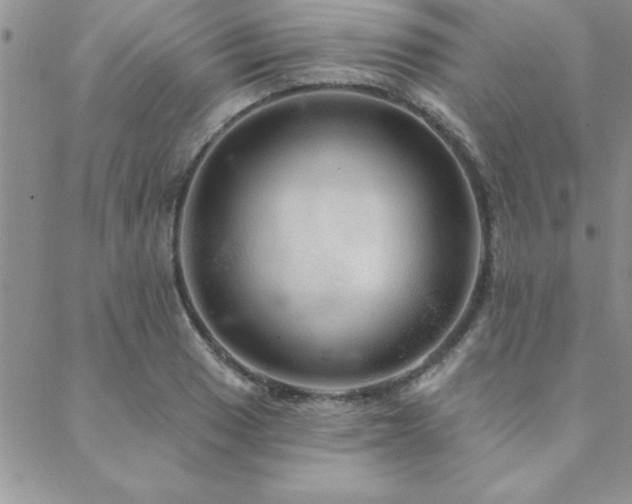 X0000088591033200705251144