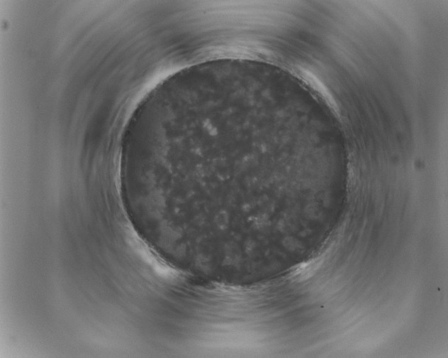 X0000088591035200705251144