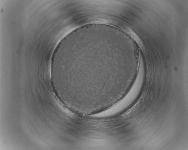 X0000088591036200705251144