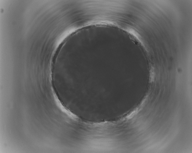 X0000088591038200705251144