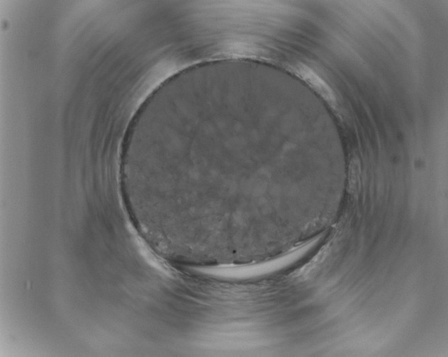 X0000088591039200705251144