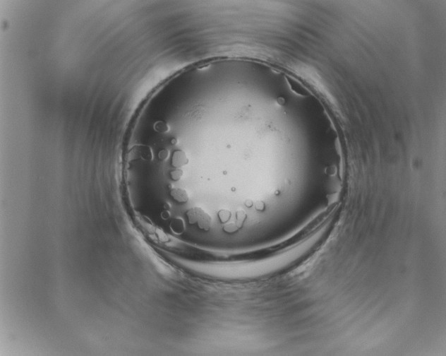 X0000088591040200705251144