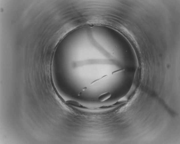 X0000088591041200705251144