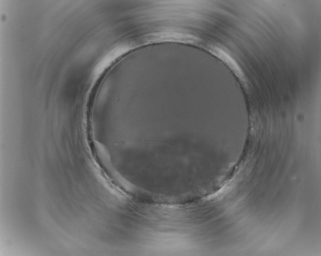 X0000088591043200705251144