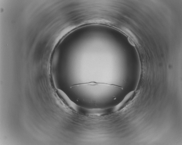 X0000088591044200705251144