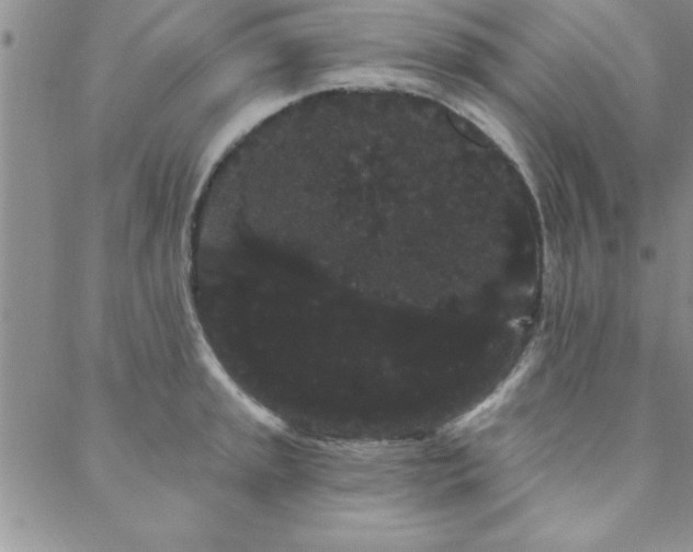 X0000088591045200705251144