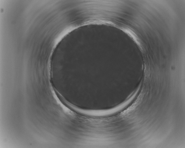 X0000088591046200705251144