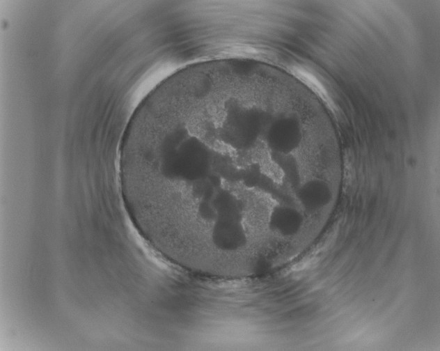 X0000088591047200705251144