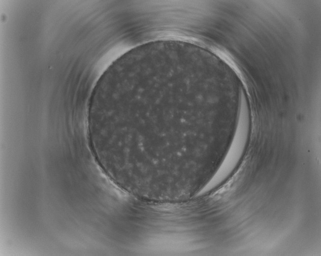 X0000088591048200705251144