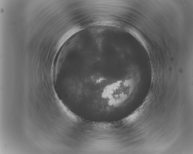 X0000088591050200705251144