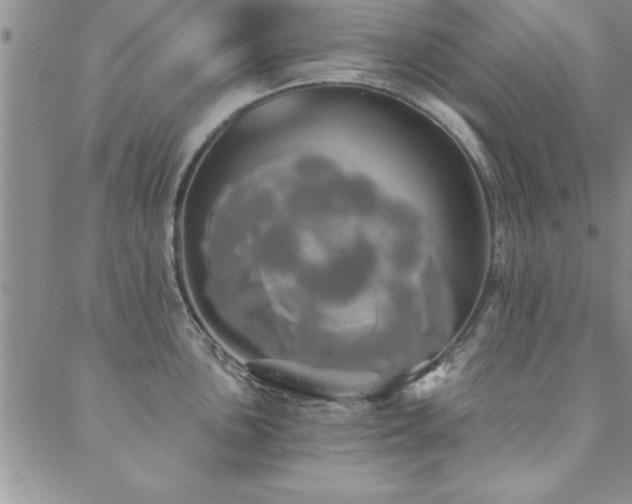 X0000088591051200705251144