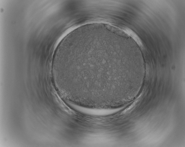 X0000088591052200705251144