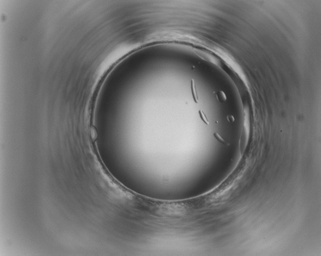 X0000088591053200705251144