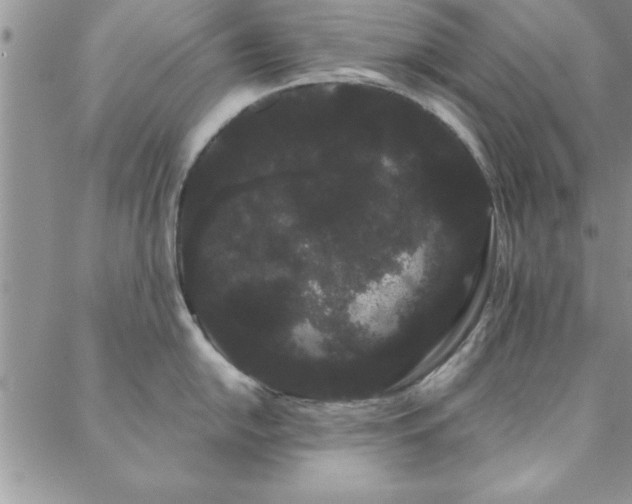 X0000088591054200705251144