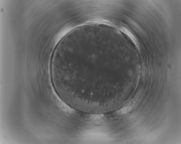 X0000088591055200705251144