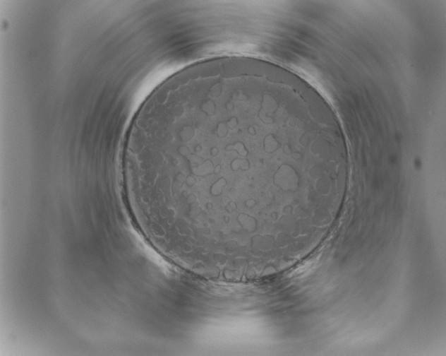 X0000088591056200705251144