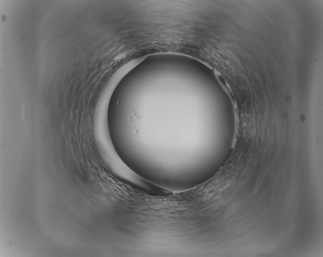 X0000088591057200705251143