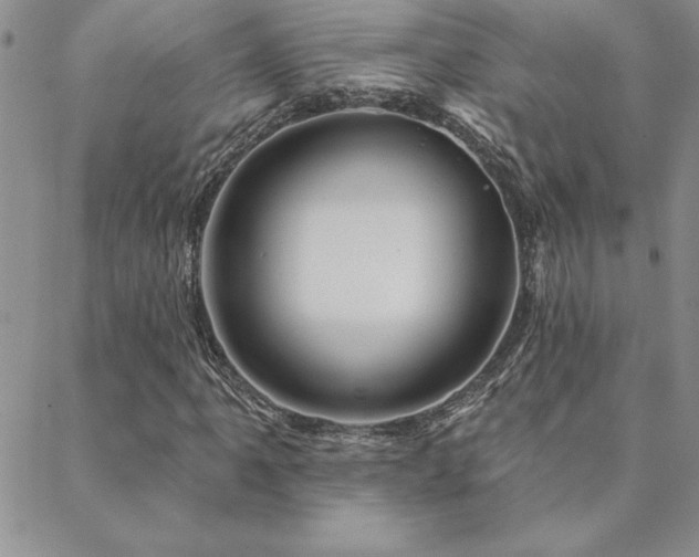 X0000088591061200705251143