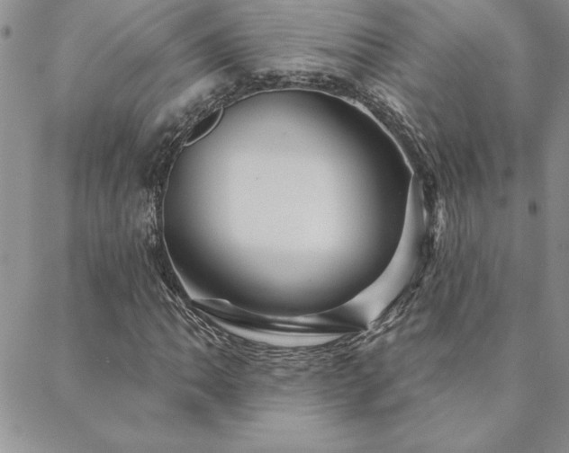 X0000088591062200705251143