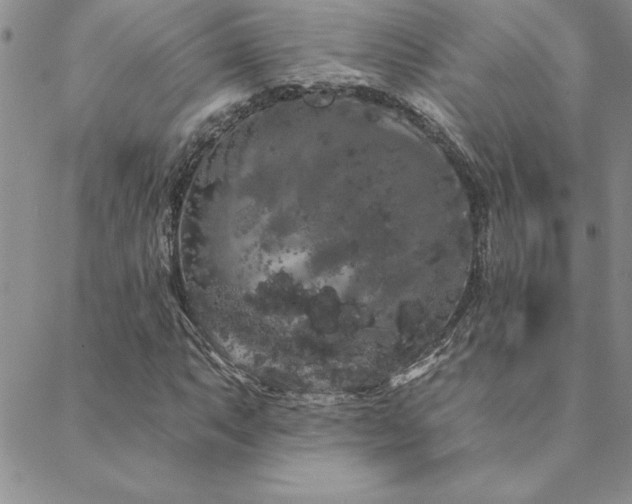 X0000088591063200705251143