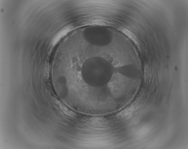 X0000088591067200705251143