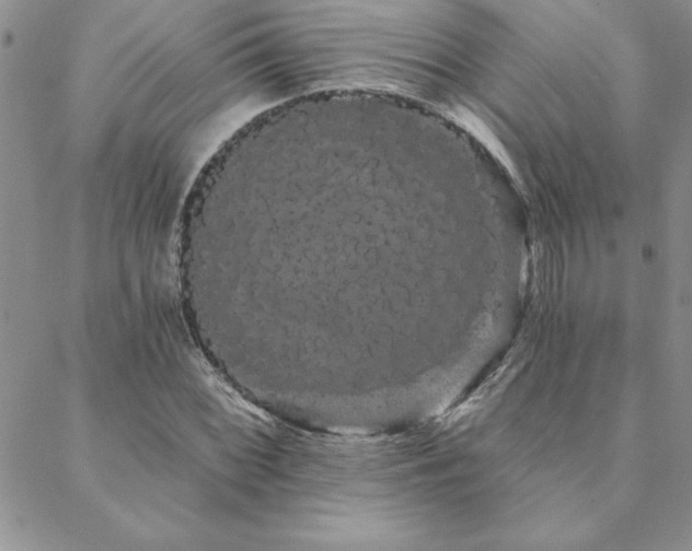 X0000088591068200705251143