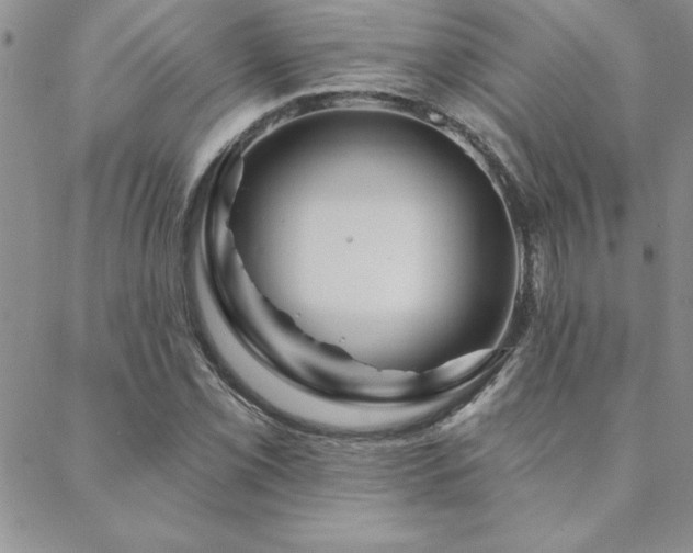 X0000088591069200705251143