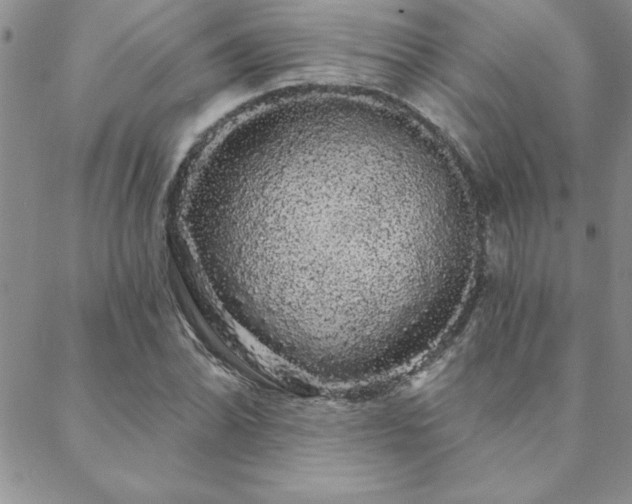 X0000088591070200705251143