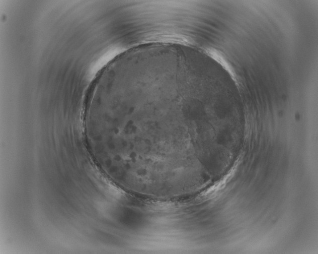 X0000088591071200705251143