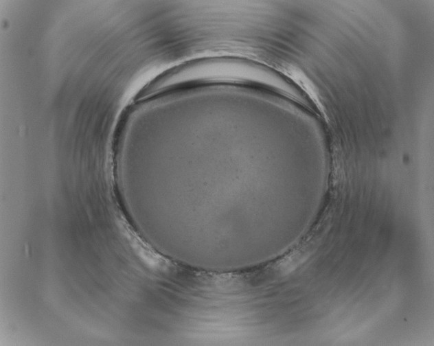 X0000088591072200705251143