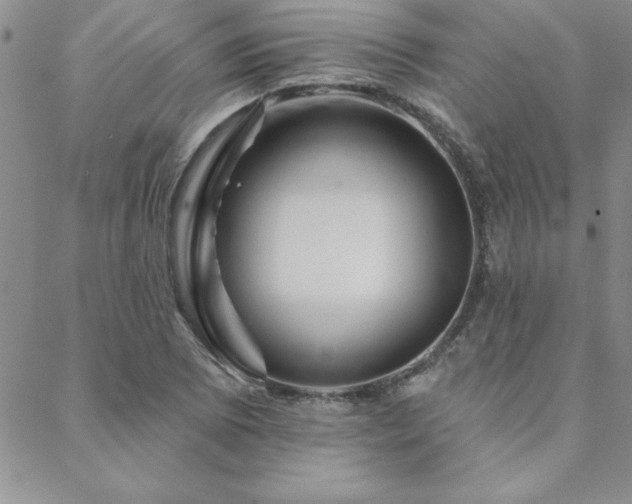 X0000088591073200705251143