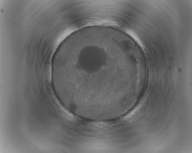 X0000088591079200705251143